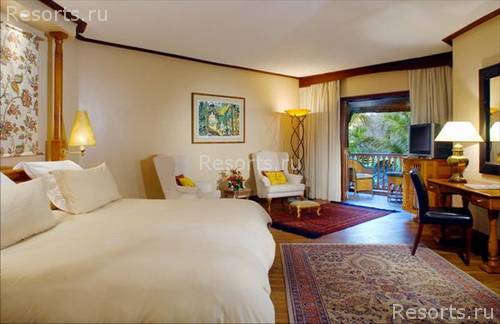 Royal Palm 3